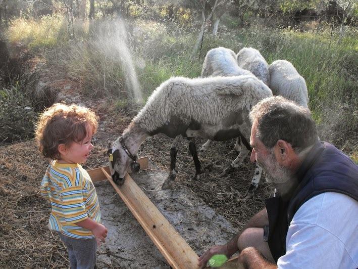 Spasmeni Vrisi Lygia  Buitenkant foto